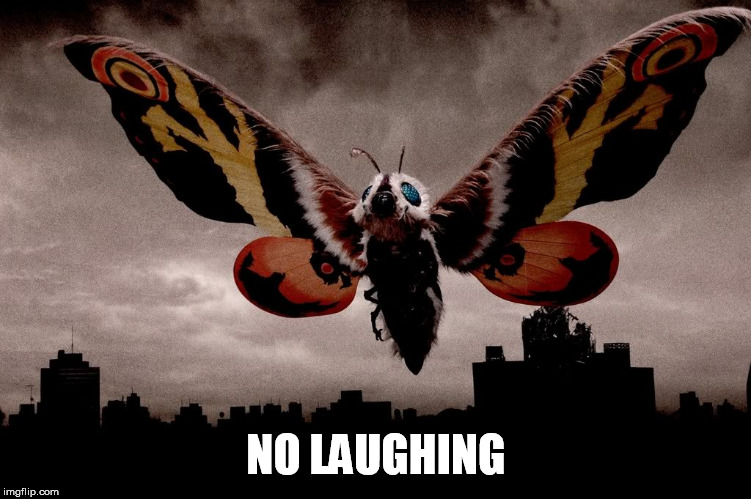 Mothra | NO LAUGHING | image tagged in mothra | made w/ Imgflip meme maker