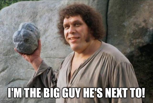 Andre the Giant | I'M THE BIG GUY HE'S NEXT TO! | image tagged in andre the giant | made w/ Imgflip meme maker