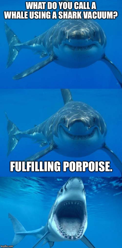 This shark joke sucks | WHAT DO YOU CALL A WHALE USING A SHARK VACUUM? FULFILLING PORPOISE. | image tagged in bad shark pun,memes,shark week,animal,vacuum,fish | made w/ Imgflip meme maker
