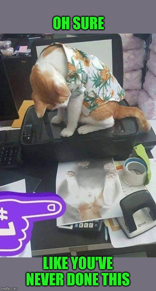 Cat scan | OH SURE; LIKE YOU'VE NEVER DONE THIS | image tagged in ca,copier | made w/ Imgflip meme maker
