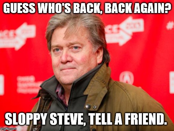 Steve Bannon | GUESS WHO'S BACK, BACK AGAIN? SLOPPY STEVE, TELL A FRIEND. | image tagged in steve bannon | made w/ Imgflip meme maker