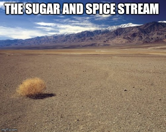 Where art thou ladies? | THE SUGAR AND SPICE STREAM | image tagged in desert tumbleweed | made w/ Imgflip meme maker