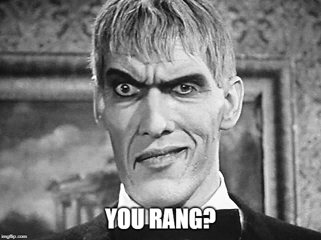 Lurch | YOU RANG? | image tagged in lurch | made w/ Imgflip meme maker