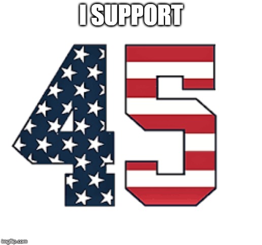 SUPPORT | I SUPPORT | image tagged in 45th president,trump | made w/ Imgflip meme maker