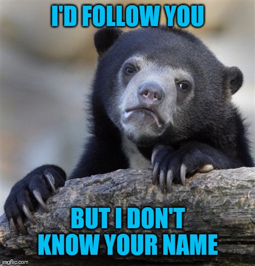 Confession Bear Meme | I'D FOLLOW YOU BUT I DON'T KNOW YOUR NAME | image tagged in memes,confession bear | made w/ Imgflip meme maker