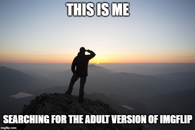 90% of the memes here are garbage | THIS IS ME; SEARCHING FOR THE ADULT VERSION OF IMGFLIP | image tagged in searching,meanwhile on imgflip,bad grammar and spelling memes,millennials,children | made w/ Imgflip meme maker