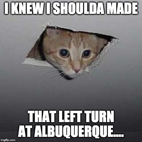Ceiling Cat Meme | I KNEW I SHOULDA MADE; THAT LEFT TURN AT ALBUQUERQUE.... | image tagged in memes,ceiling cat | made w/ Imgflip meme maker