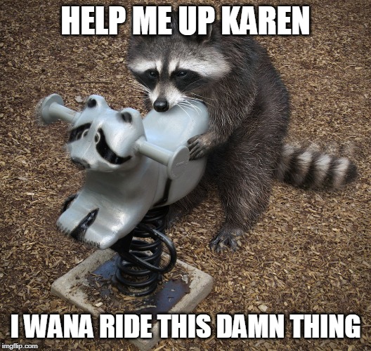 COON | HELP ME UP KAREN; I WANA RIDE THIS DAMN THING | image tagged in raccoon,cute,funny,memes | made w/ Imgflip meme maker