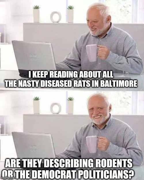 Hide the Pain Harold | I KEEP READING ABOUT ALL THE NASTY DISEASED RATS IN BALTIMORE; ARE THEY DESCRIBING RODENTS OR THE DEMOCRAT POLITICIANS? | image tagged in memes,hide the pain harold | made w/ Imgflip meme maker