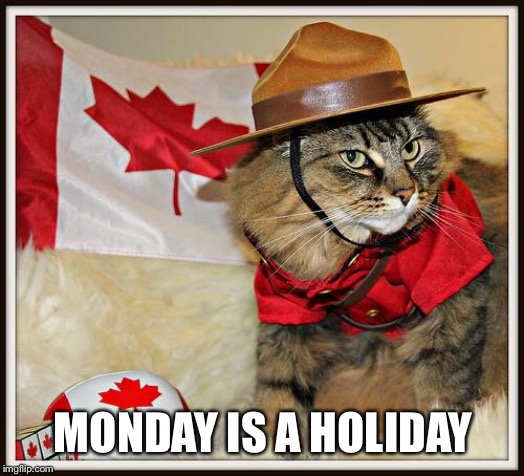 Canada Cat | MONDAY IS A HOLIDAY | image tagged in canada cat | made w/ Imgflip meme maker