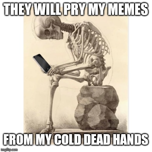 Skeleton checking cell phone | THEY WILL PRY MY MEMES; FROM MY COLD DEAD HANDS | image tagged in skeleton checking cell phone | made w/ Imgflip meme maker