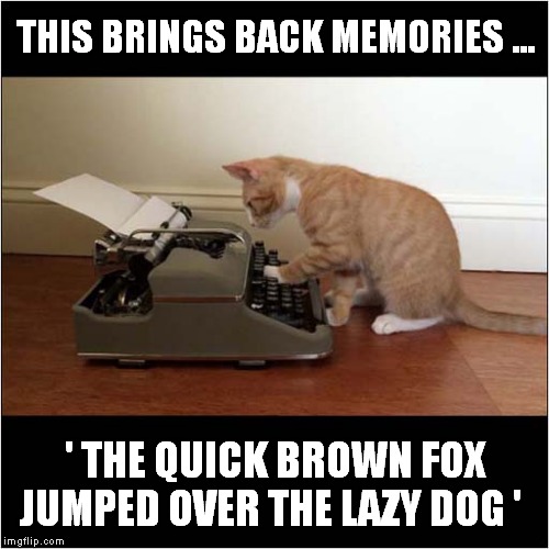 Nostalgic Cat has 'Stiff Little Fingers' | THIS BRINGS BACK MEMORIES ... ' THE QUICK BROWN FOX JUMPED OVER THE LAZY DOG ' | image tagged in cats,nostalgia | made w/ Imgflip meme maker