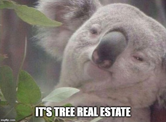 IT'S TREE REAL ESTATE | made w/ Imgflip meme maker