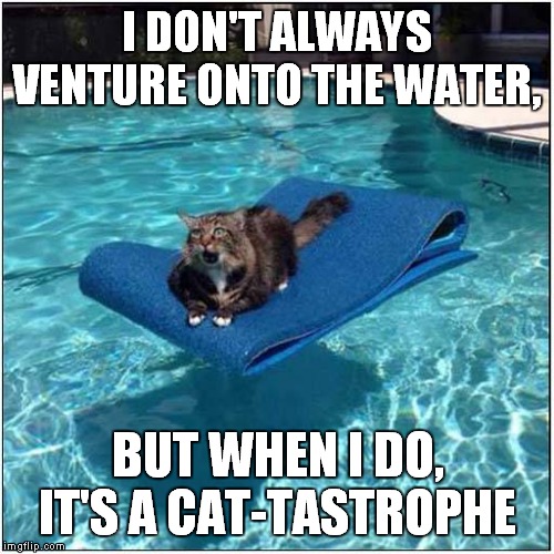 This Cannot End Well ! | I DON'T ALWAYS VENTURE ONTO THE WATER, BUT WHEN I DO, IT'S A CAT-TASTROPHE | image tagged in cats,swimming pool | made w/ Imgflip meme maker
