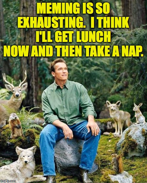 Arnold nature | MEMING IS SO EXHAUSTING.  I THINK I'LL GET LUNCH NOW AND THEN TAKE A NAP. | image tagged in arnold nature | made w/ Imgflip meme maker