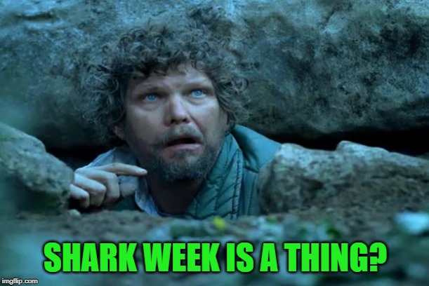 Under a Rock | SHARK WEEK IS A THING? | image tagged in under a rock | made w/ Imgflip meme maker