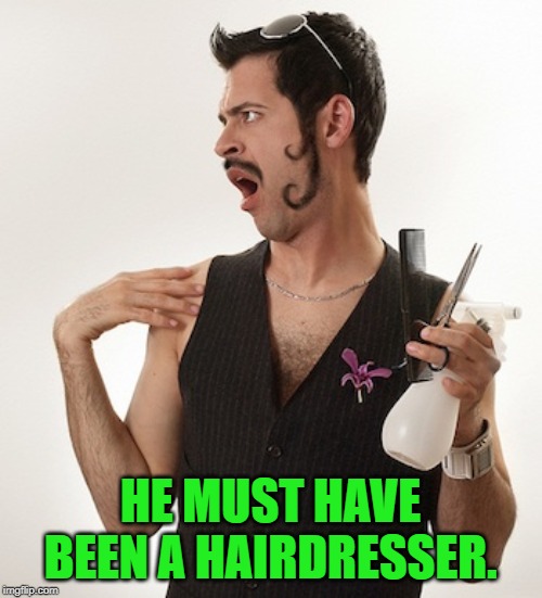 Gay Hair Dresser | HE MUST HAVE BEEN A HAIRDRESSER. | image tagged in gay hair dresser | made w/ Imgflip meme maker