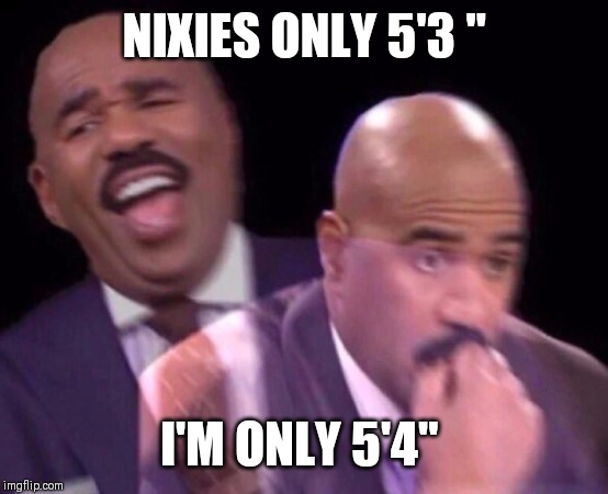 Steve Harvey Laughing Serious | NIXIES ONLY 5'3 " I'M ONLY 5'4" | image tagged in steve harvey laughing serious | made w/ Imgflip meme maker