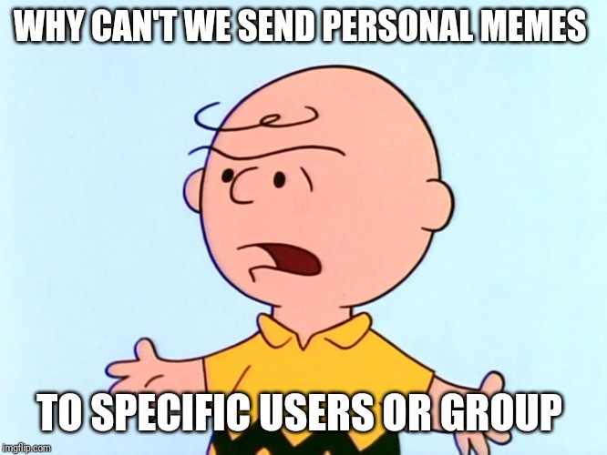 Angry Charlie Brown | WHY CAN'T WE SEND PERSONAL MEMES; TO SPECIFIC USERS OR GROUP | image tagged in angry charlie brown | made w/ Imgflip meme maker