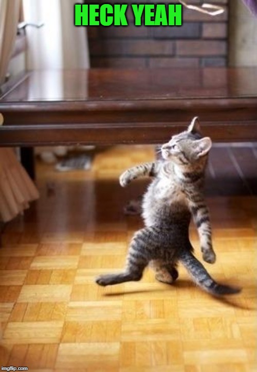 Cool Cat Stroll Meme | HECK YEAH | image tagged in memes,cool cat stroll | made w/ Imgflip meme maker