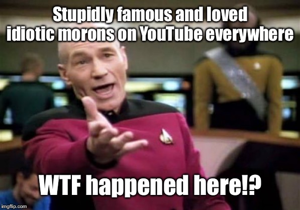 Picard Wtf Meme | Stupidly famous and loved idiotic morons on YouTube everywhere; WTF happened here!? | image tagged in memes,picard wtf | made w/ Imgflip meme maker