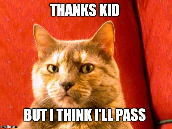 Suspicious Cat Meme | THANKS KID BUT I THINK I'LL PASS | image tagged in memes,suspicious cat | made w/ Imgflip meme maker