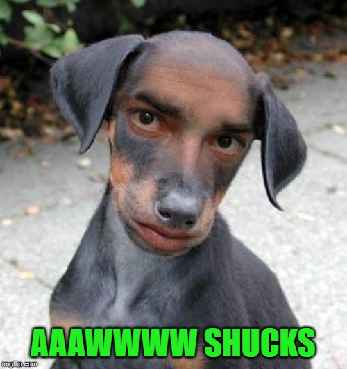 AAAWWWW SHUCKS | made w/ Imgflip meme maker