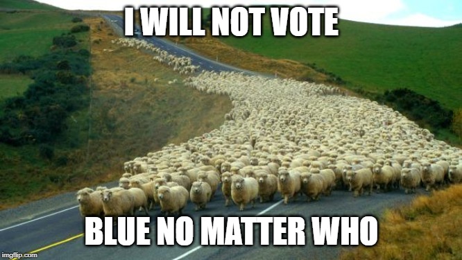 sheep | I WILL NOT VOTE; BLUE NO MATTER WHO | image tagged in sheep | made w/ Imgflip meme maker