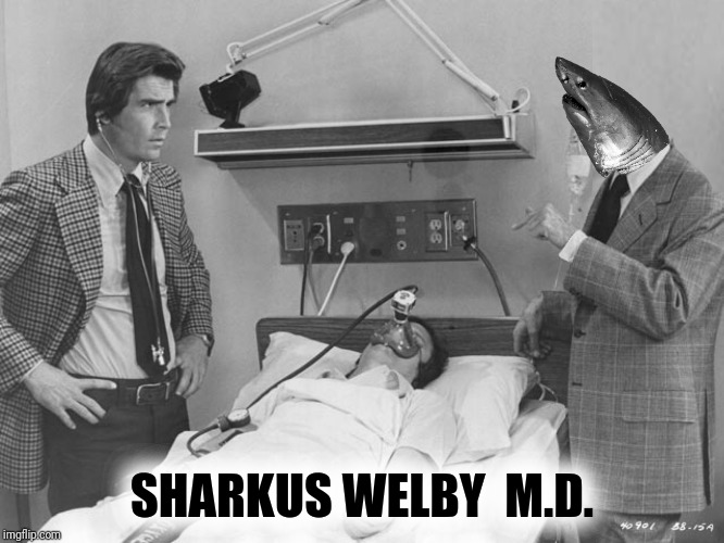 SHARKUS WELBY  M.D. | made w/ Imgflip meme maker