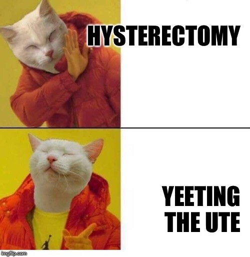 cat drake | HYSTERECTOMY; YEETING 
THE UTE | image tagged in cat drake | made w/ Imgflip meme maker