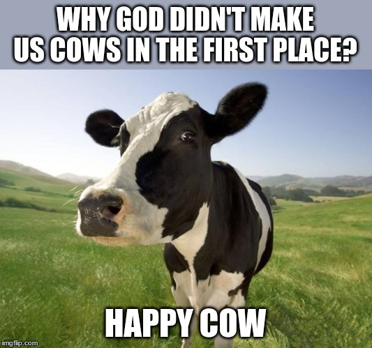 cow | WHY GOD DIDN'T MAKE US COWS IN THE FIRST PLACE? HAPPY COW | image tagged in cow | made w/ Imgflip meme maker