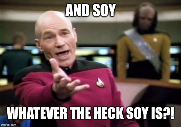 Picard Wtf Meme | AND SOY WHATEVER THE HECK SOY IS?! | image tagged in memes,picard wtf | made w/ Imgflip meme maker