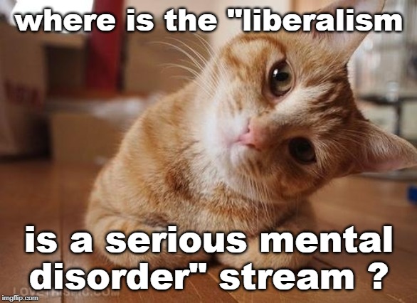 within imgflip where are the streams ? | where is the "liberalism; is a serious mental disorder" stream ? | image tagged in curious question cat,stupid liberals,right vs wrong,meme bee | made w/ Imgflip meme maker