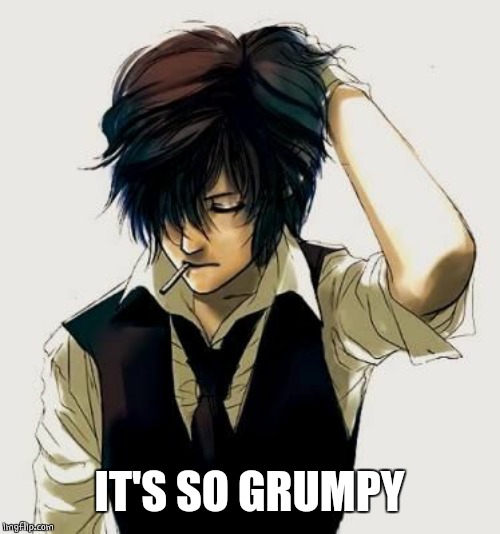 Anime guy | IT'S SO GRUMPY | image tagged in anime guy | made w/ Imgflip meme maker