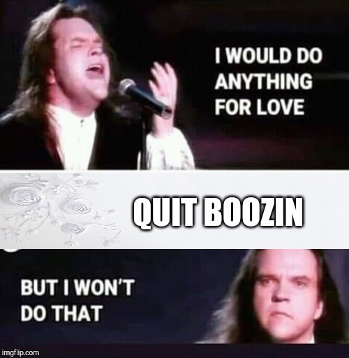 No i dont think so | QUIT BOOZIN | image tagged in anything for love but not that | made w/ Imgflip meme maker