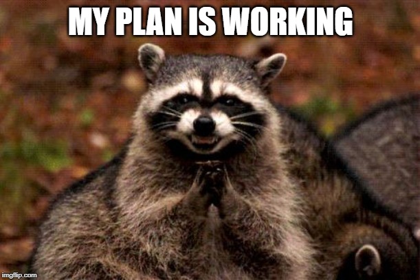 Evil Plotting Raccoon Meme | MY PLAN IS WORKING | image tagged in memes,evil plotting raccoon | made w/ Imgflip meme maker