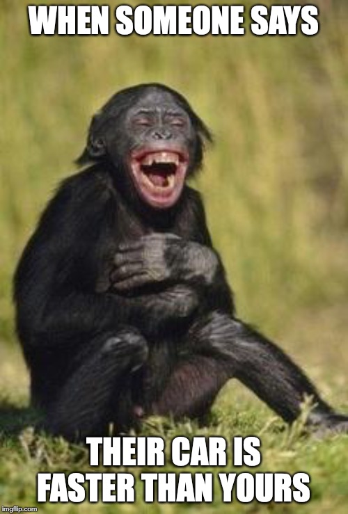 Laughing monkey | WHEN SOMEONE SAYS; THEIR CAR IS FASTER THAN YOURS | image tagged in laughing monkey | made w/ Imgflip meme maker