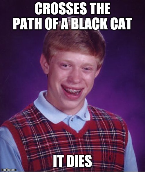 Bad Luck Brian | CROSSES THE PATH OF A BLACK CAT; IT DIES | image tagged in memes,bad luck brian | made w/ Imgflip meme maker