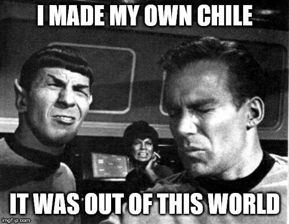 Star Trek Space Farts | I MADE MY OWN CHILE; IT WAS OUT OF THIS WORLD | image tagged in star trek space farts | made w/ Imgflip meme maker
