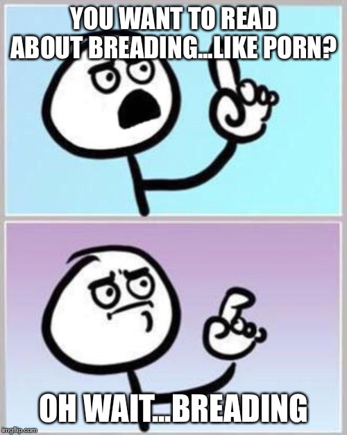 Wait what? | YOU WANT TO READ ABOUT BREADING...LIKE PORN? OH WAIT...BREADING | image tagged in wait what | made w/ Imgflip meme maker