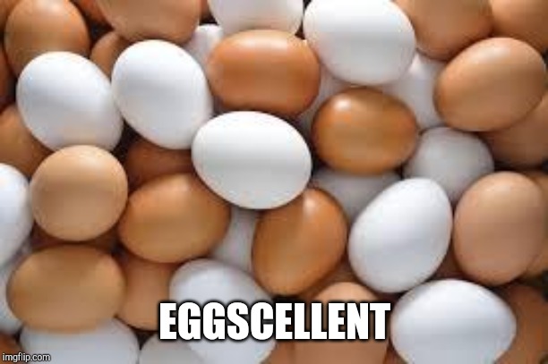 eggs | EGGSCELLENT | image tagged in eggs | made w/ Imgflip meme maker