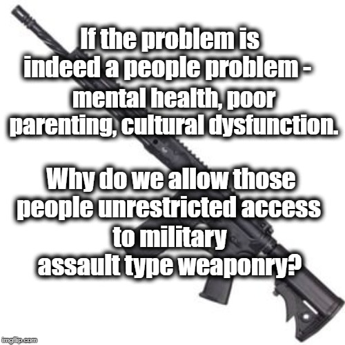 Why? | If the problem is indeed a people problem -; mental health, poor parenting, cultural dysfunction. Why do we allow those people unrestricted access; to military assault type weaponry? | image tagged in gun control | made w/ Imgflip meme maker