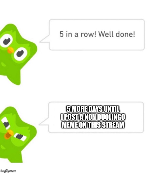 Duolingo 5 in a row | 5 MORE DAYS UNTIL I POST A NON DUOLINGO MEME ON THIS STREAM | image tagged in duolingo 5 in a row,duolingo | made w/ Imgflip meme maker
