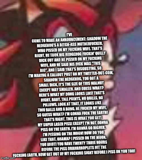 Shadow the Hedgehog | I'VE COME TO MAKE AN ANNOUNCEMENT: SHADOW THE HEDGEHOG'S A B**CH-ASS MOTHERF**KER, WHO PISSED ON MY F**KING WIFE. THAT'S RIGHT, HE TOOK HIS  | image tagged in shadow the hedgehog | made w/ Imgflip meme maker