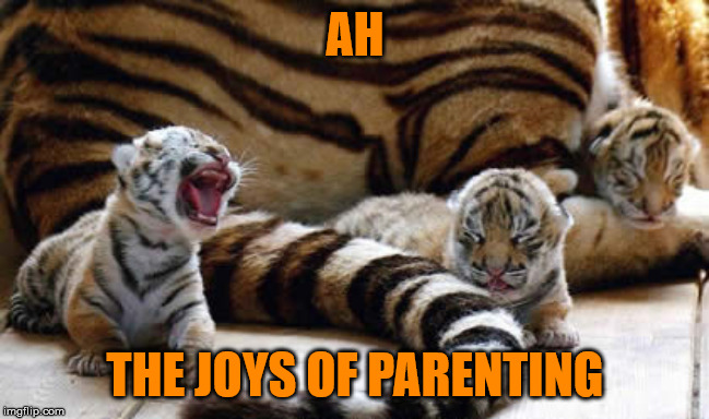 The joys of parenting - Tiger Week 3, Jul 27 - Aug 2, a TigerLegend1046 event | AH; THE JOYS OF PARENTING | image tagged in memes,tiger week 3,tigerlegend1046,parenting,baby | made w/ Imgflip meme maker