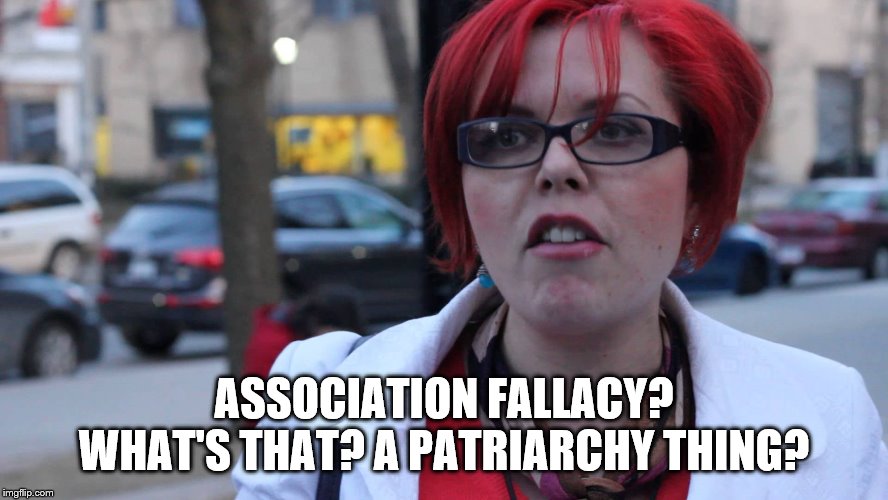 Feminazi | ASSOCIATION FALLACY? WHAT'S THAT? A PATRIARCHY THING? | image tagged in feminazi | made w/ Imgflip meme maker