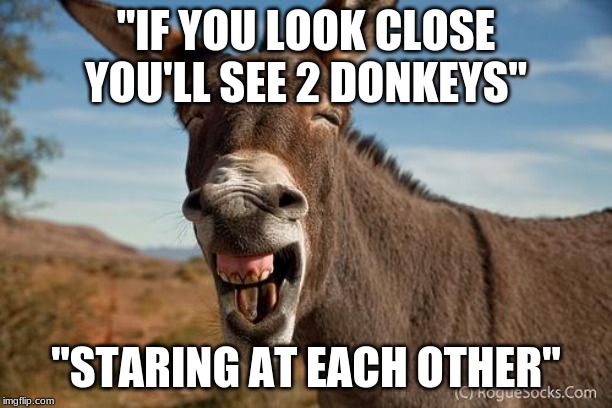 2 donkeys staring at each other | "IF YOU LOOK CLOSE YOU'LL SEE 2 DONKEYS"; "STARING AT EACH OTHER" | image tagged in donkey jackass braying | made w/ Imgflip meme maker