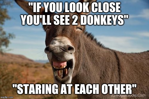 Can I F---, Staring Donkey