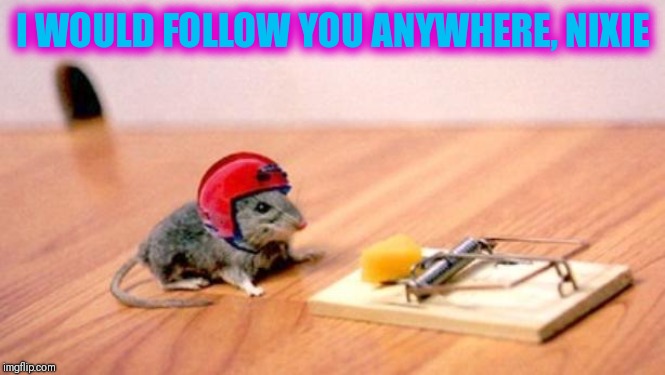 Mouse Trap | I WOULD FOLLOW YOU ANYWHERE, NIXIE | image tagged in mouse trap | made w/ Imgflip meme maker