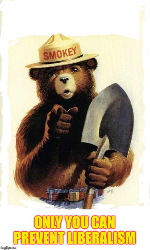 Smokey The Bear | ONLY YOU CAN PREVENT LIBERALISM | image tagged in smokey the bear | made w/ Imgflip meme maker
